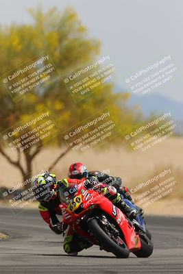 media/Apr-12-2025-Race Pace (Sat) [[9230add55f]]/Vested/6-Turn 4 Tree of Life (115pm)/